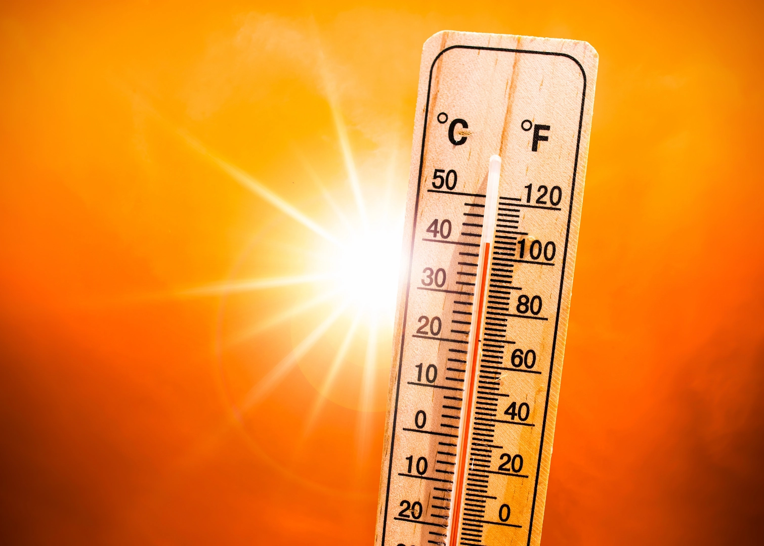 Canicule dans un logement loué quelles obligations pour le propriétaire - UNPI Lorraine